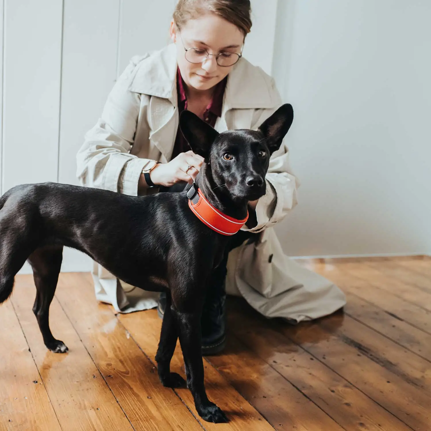 Hunter Halsbånd Divo L Rød/Grå - justerbart hundehalsbånd (45-55 cm, B 4,5 cm)